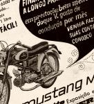 Tento prospekt sportovnho mopedu Leonette Mustang M 20 je z roku 1970. Po pravd eeno, ten nov tlust a nehezk vfukov tlumi z dvousedadlovho Pionra, mu na krse nepidal...