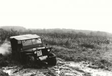 14-11-121_tonovana_MINI